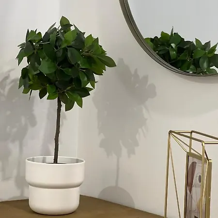 Apartamento Rotonda Del Minotauro Turístico At-cc-00674